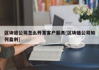 区块链公司怎么开发客户服务[区块链公司如何盈利]